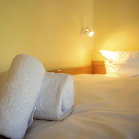 파밀리엔호텔 시티라이트 3*